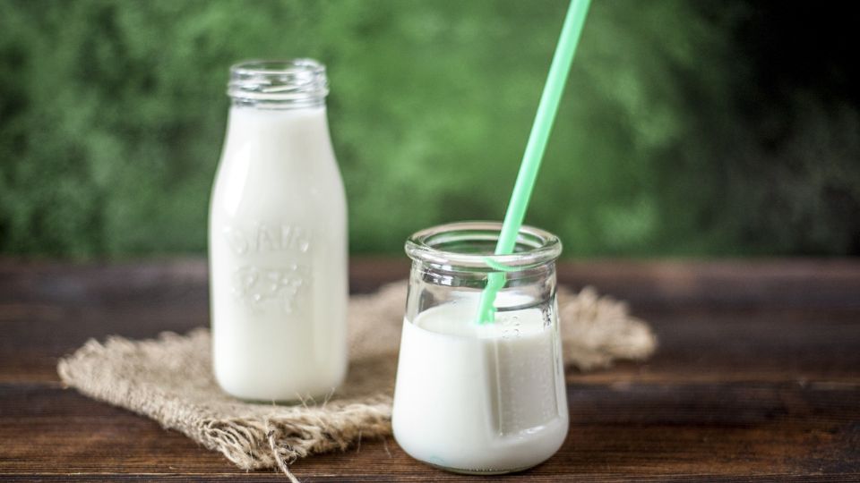 El análisis reveló que las principales marcas de leche deslactosada en México presentan valores nutricionales similares.