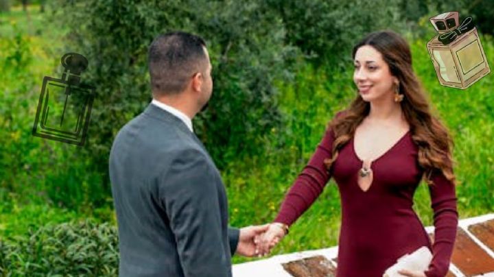 ¿Por qué los perfumes cremosos son una gran opción gracias a sus aromas cálidos?