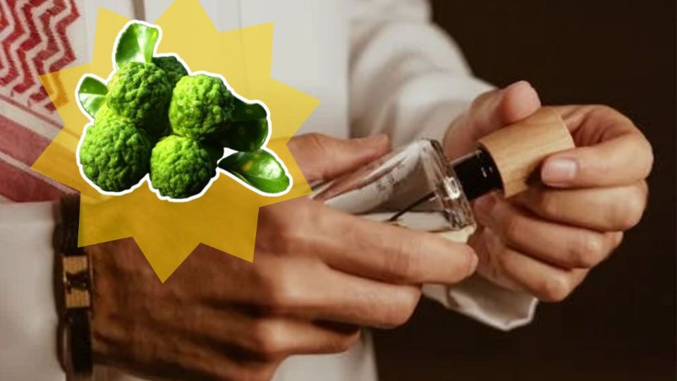 Incorporar perfumes con bergamota transforma la rutina en una declaración de estilo refinado y accesible