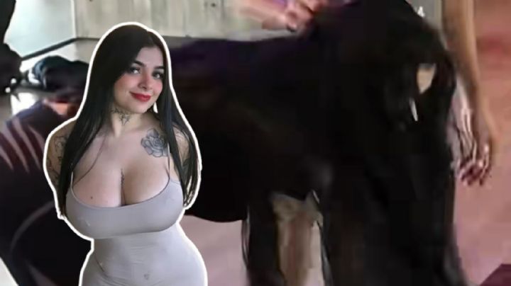 ¿Qué pasó con Karely Ruiz? Recientes videos causan impacto