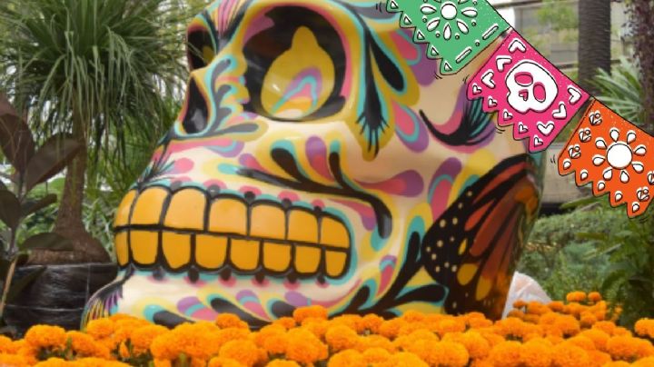 Estos son los eventos de Día de Muertos gratis en CDMX
