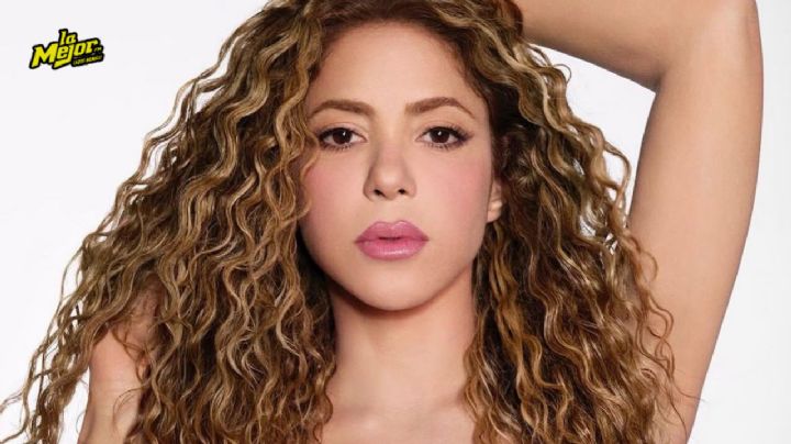 Esta sería la suma que cobra Shakira por concierto privado