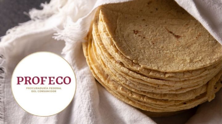 El truco para que las tortillas no se pongan duras y  húmedas, según Profeco