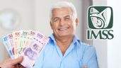 Foto ilustrativa de la nota titulada: IMSS: ¿Qué es el premio de 9 mil pesos y cómo puedes recibirlo?