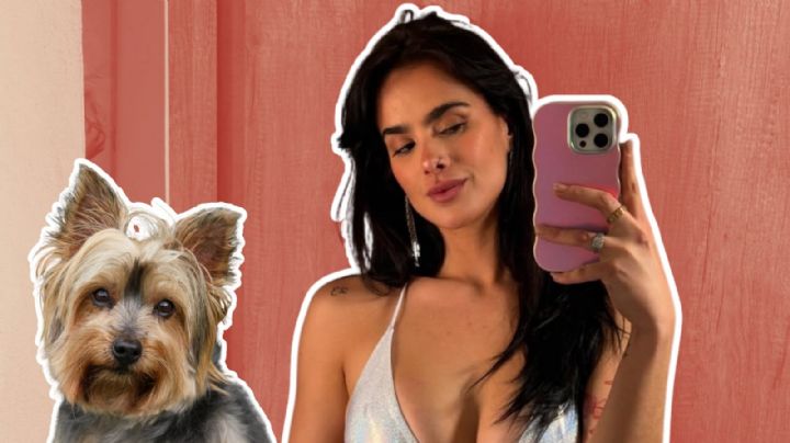 Así fue como Gala Montes rescató a un perro durante las grabaciones de una telenovela | VIDEO