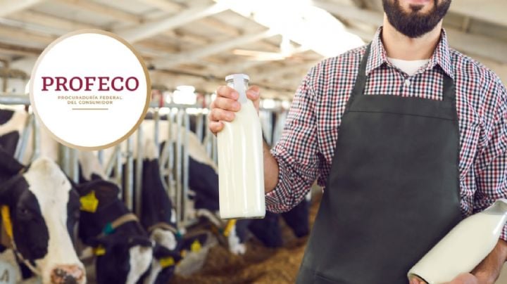 La marca de leche que no tiene aditivos y es recomendada por Profeco