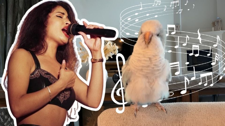 Loro impacta al cantar tema de Selena y se hace viral