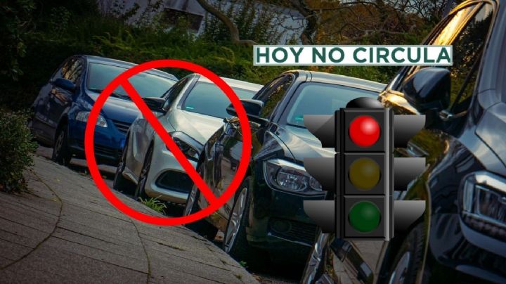Hoy No Circula CDMX y Edomex, martes 11 de febrero: Autos y color de engomado que descansan