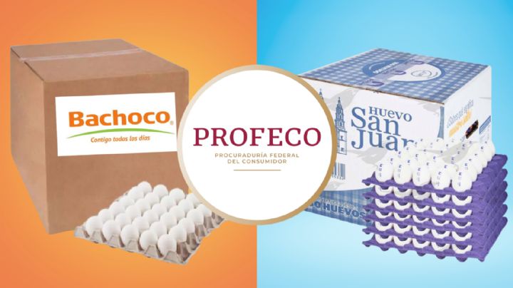 ¿San Juan o Bachoco? Profeco revela la mejor marca de huevos según su calidad y frescura
