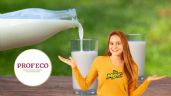 Foto ilustrativa de la nota titulada: Profeco: La marca de leche que sí es leche 100% de vaca, económica y con proteínas