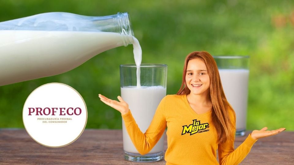 Profeco realizó un estudio a 20 marcas de leche.