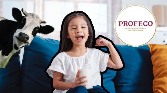 Pocos la compran, pero es la mejor marca de leche según Profeco