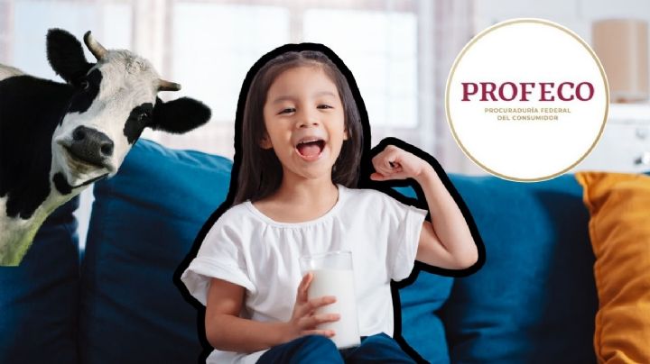 Pocos la compran, pero es la mejor marca de leche según Profeco