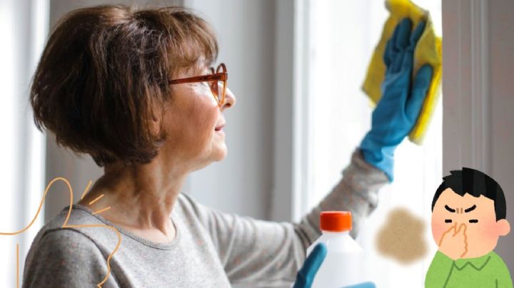 El mejor truco para eliminar los malos olores de la casa