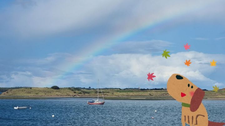 ¿Cómo se forman los arcoíris en el cielo?