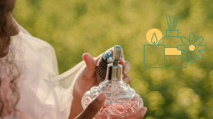 3 perfumes frescos con excelente duración y aroma que son de uso diario