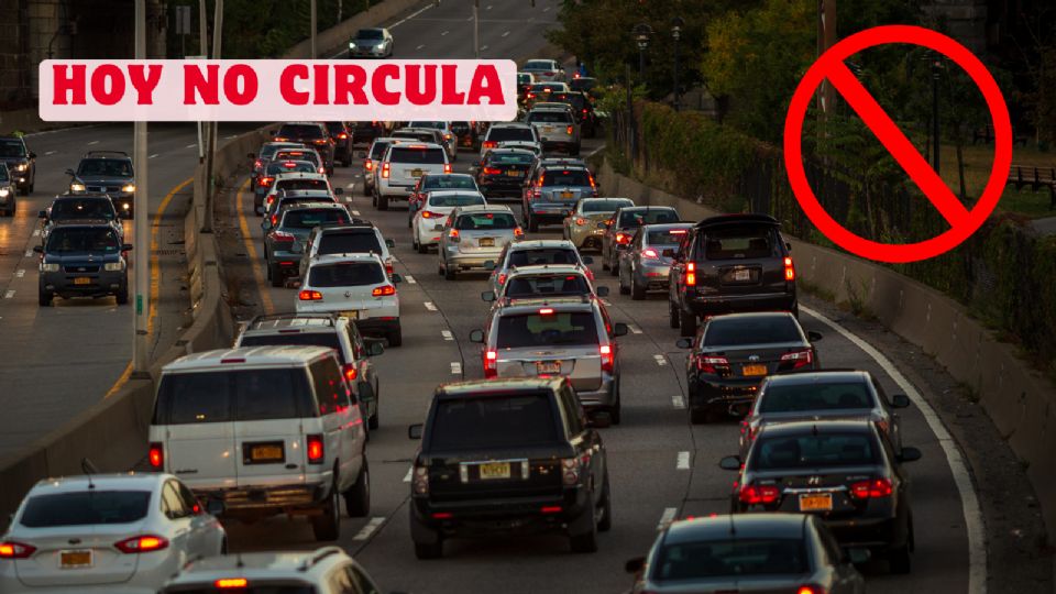 Hoy No Circula - 30 de marzo