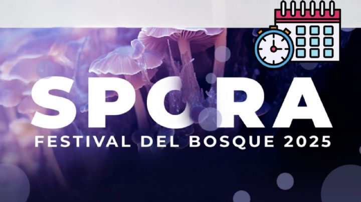 Spora Festival del Bosque de Chapultepec 2025: ¿Qué es, cuándo ir y que actividades habrá?