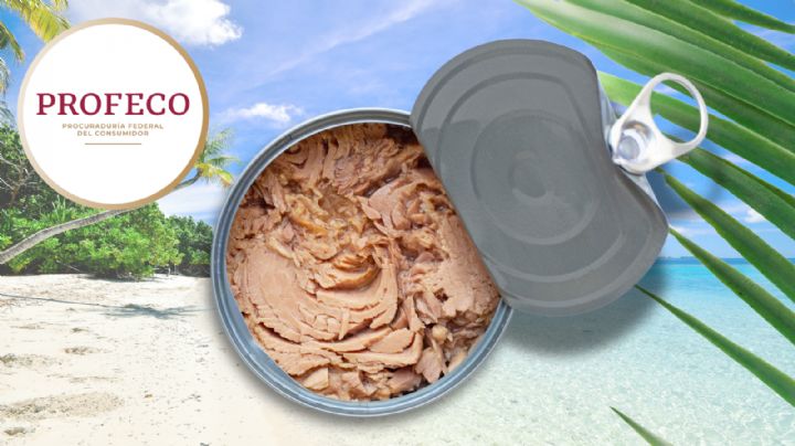 Las marcas de atún enlatado con mejor calidad y menor precio para comer en Semana Santa, revela Profeco