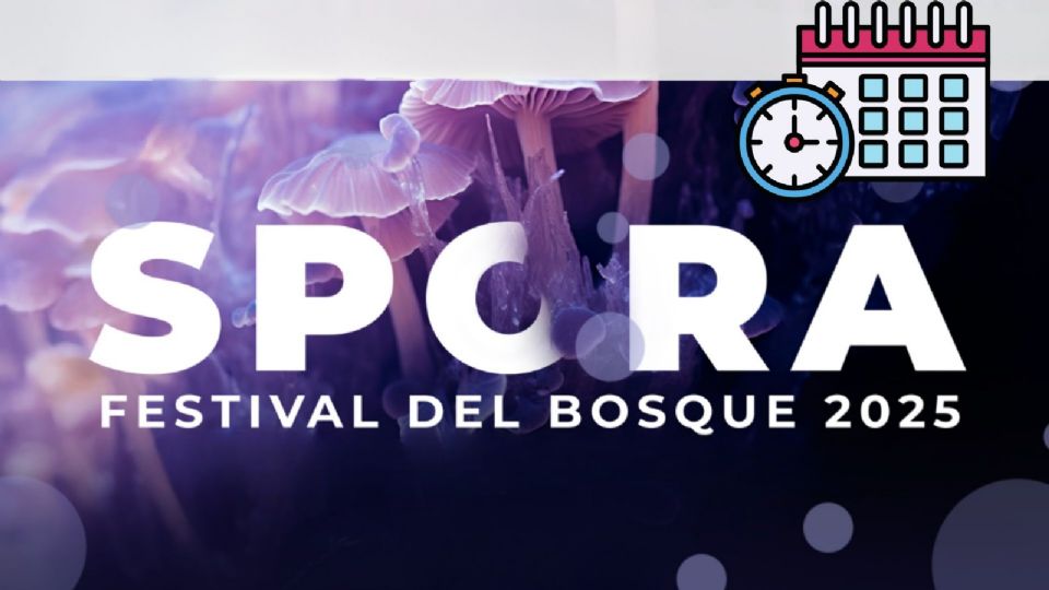 Visita el festival más importante de la Ciudad de México en el Bosque de Chapultepec