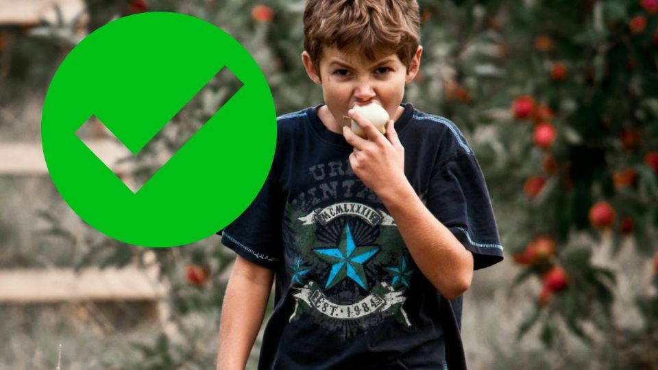 El listado de botanas saludables permitidas en las escuelas también contempla otras opciones que ofrecen un buen aporte nutricional