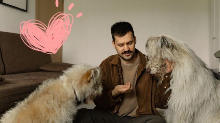 ¿Qué significa que una persona hable siempre con su perro, según la psicología?