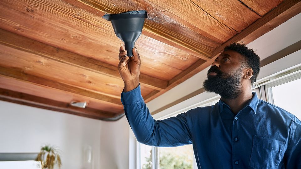 Fuente: Producción La Mejor