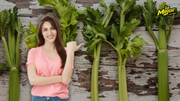 ¿Quién es quién en los precios? Acá están el apio más barato y más caro de México, según Profeco