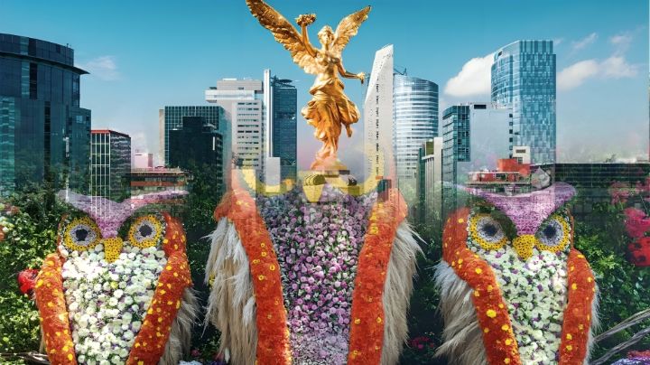 Festival de las Flores y Jardines CDMX 2025: ¿Cuándo y en qué establecimientos estarán?