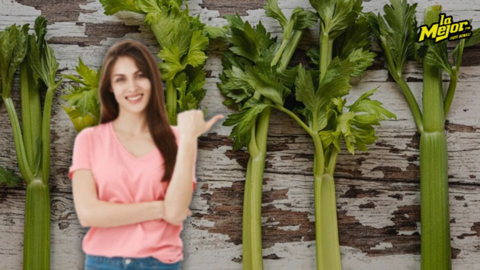 Profeco informa sobre el valor del apio en diferentes estados de México.