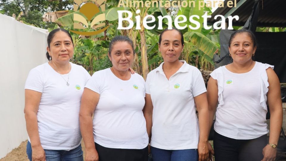 El programa Alimentación para el Bienestar representa una iniciativa significativa del gobierno del Estado de México para apoyar a las familias que más lo necesitan