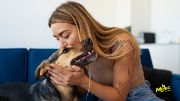 Adoptatón 2025: ¿Cómo adoptar a un perro o gato en CDMX?
