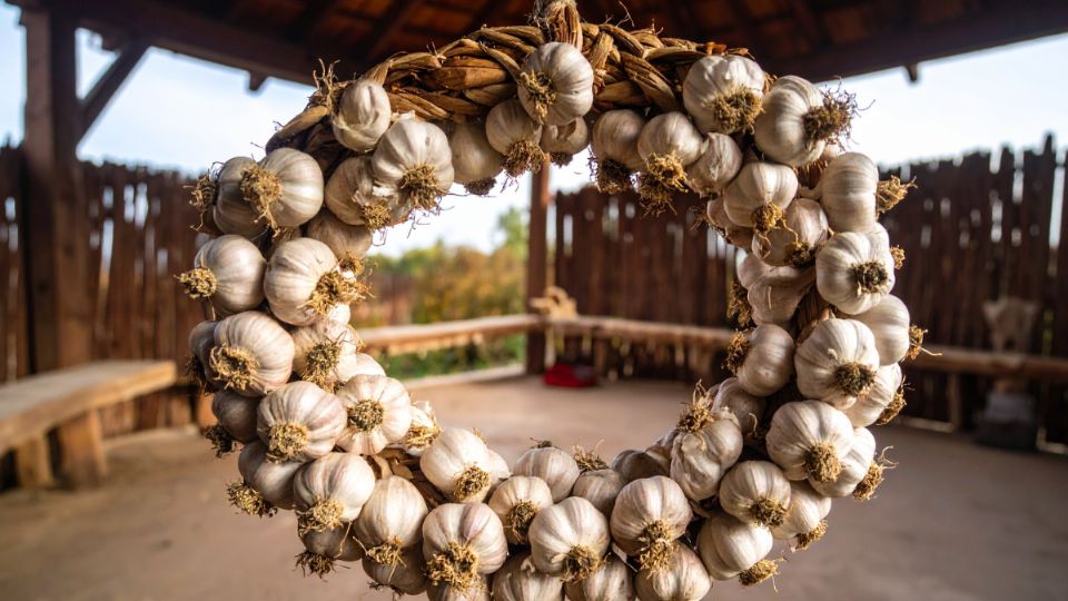 Fuente: Adobe Firefly