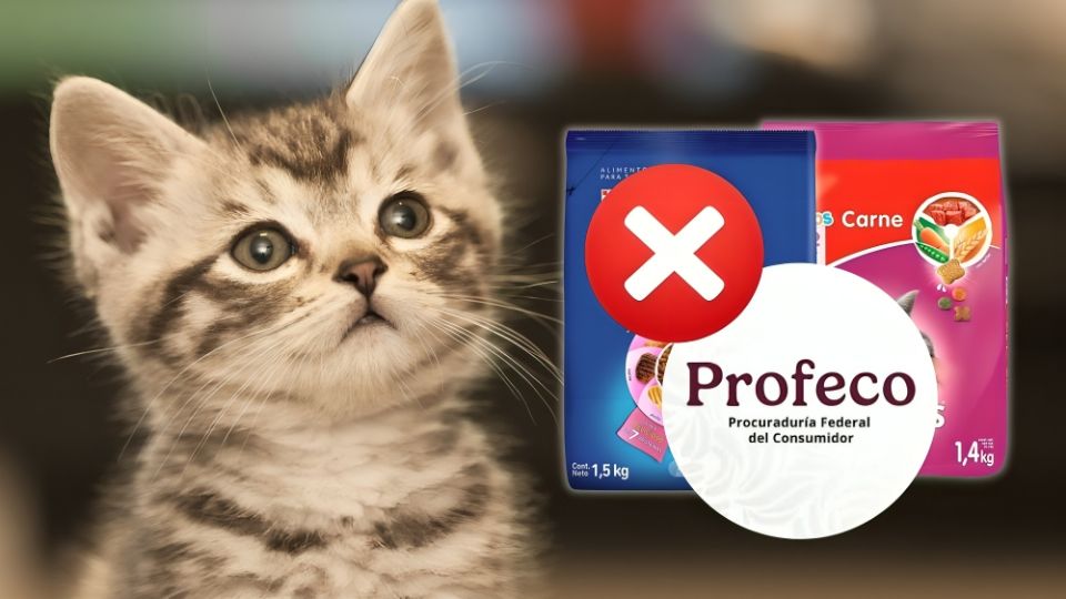 Marcas de comida para gatitos peores calificados por la profeco