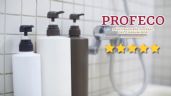Foto ilustrativa de la nota titulada: Las 5 mejores marcas de shampoo aprobadas por Profeco por su calidad y desempeño