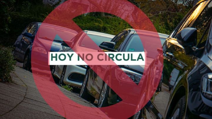 Hoy No Circula CDMX y Edomex, martes 20 de mayo: Autos y color de engomado que descansan