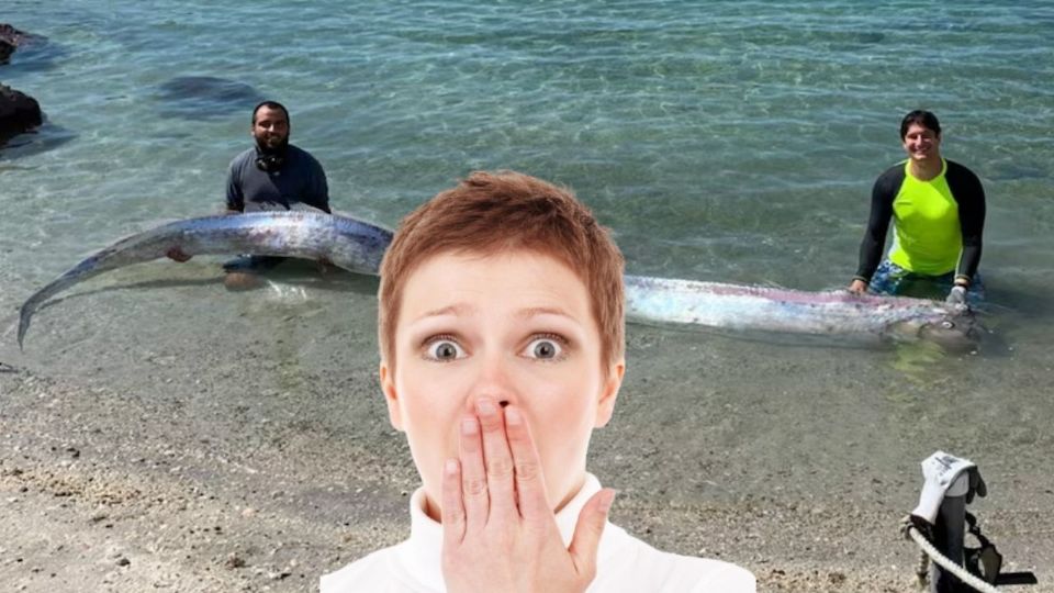 El pez remo es una criatura marina fascinante por su tamaño y apariencia inusual, pero además hay mucha mitología