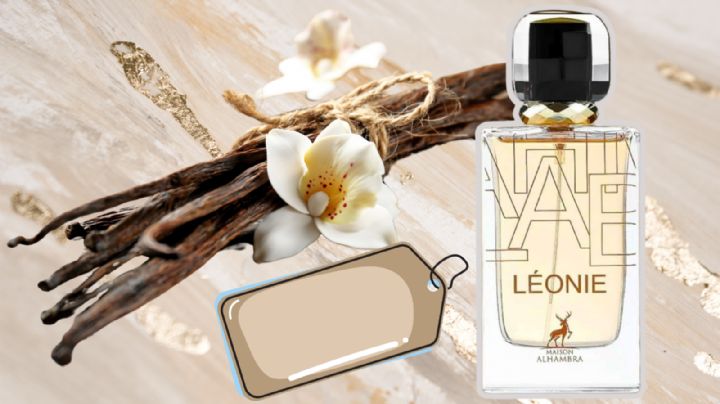 El perfume árabe con olor a vainilla que te hará oler rico todo el día; lo puedes comprar en Mercado Libre