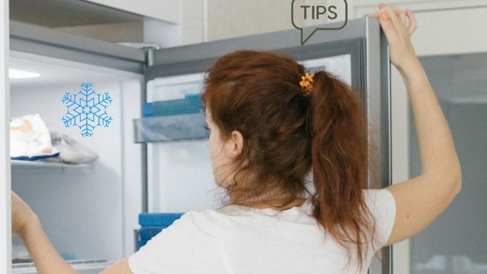 Descongelar los alimentos de forma segura es un paso fundamental para garantizar la salud de quienes los consumen