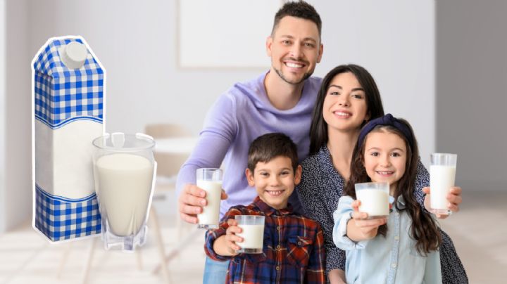 ¿Qué marca de leche es mejor y más barata? Estas son las 3 más vendidas en México, según la IA