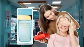 Foto ilustrativa de la nota titulada: Este perfume de fraiche huele idéntico al Light Blue Forever de Dolce & Gabbana, regalo perfecto para mamá