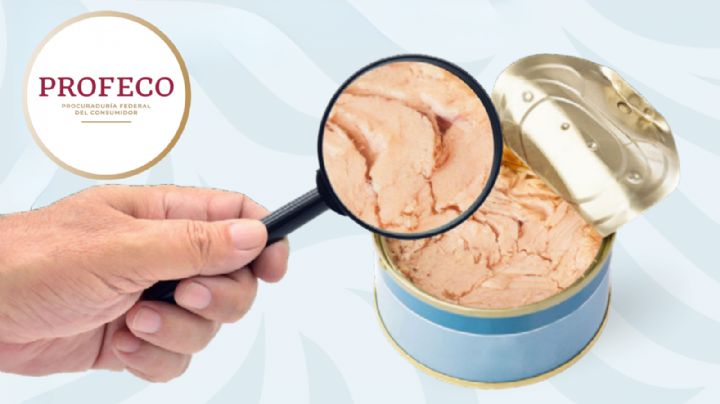 ¿Qué atún es mejor? Las MEJORES marcas recomendadas por Profeco en 2025
