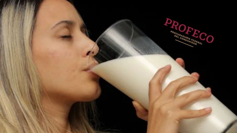 Los hallazgos de Profeco son de gran interés para quienes buscan optimizar su ingesta proteica sin comprometer su economía