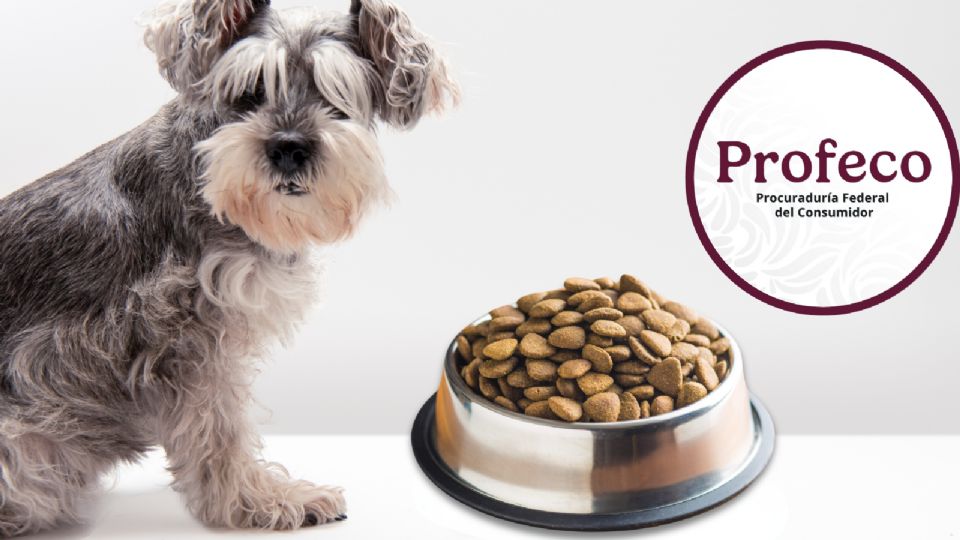 Estas son las mejores marcas de croquetas, recomendadas por Profeco.