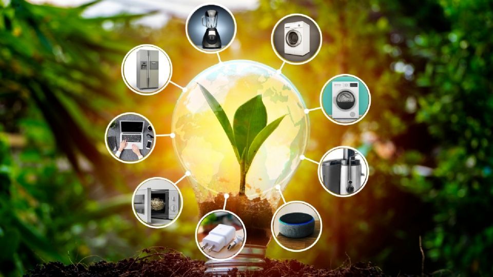 Profeco te dice como ahorrar dinero en tu recibo de luz en esta temporada de lluvias