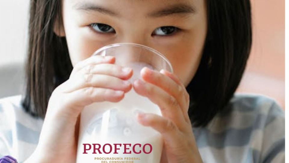 Profeco recuerda que lo más importante al comprar leche no es la marca, sino los componentes nutricionales y el cumplimiento con la norma oficial mexicana