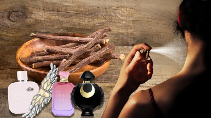 Los mejores perfumes de mujer con notas amaderadas y alta duración