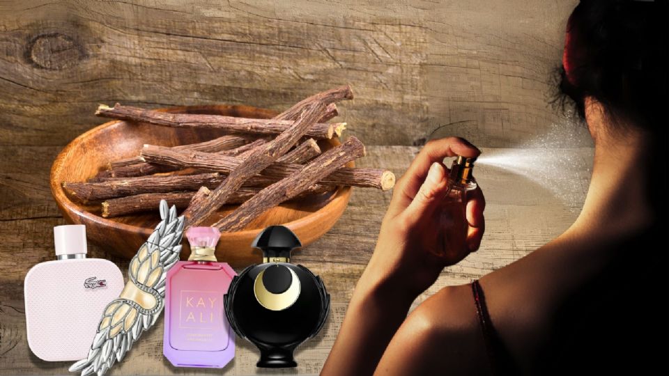 Los mejores perfumes amaderados para mujer en este 2025