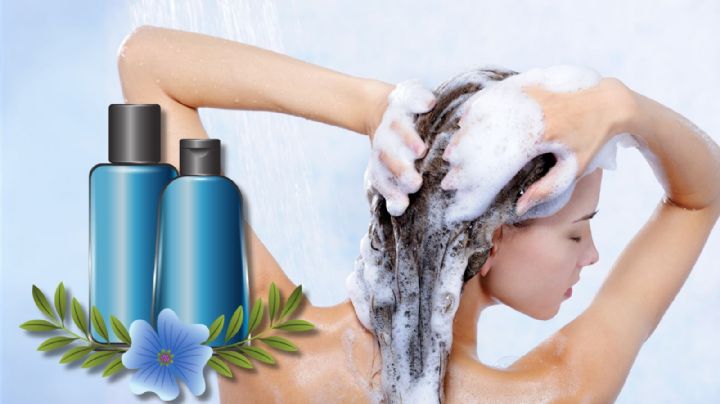 Este es el mejor shampoo del mercado por ser barato y efectivo, según la IA