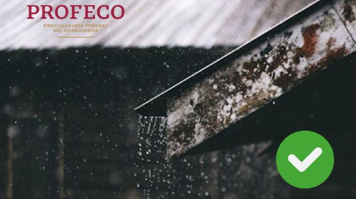 Temporada de lluvias: este impermeabilizante es bueno, bonito y barato, según Profeco